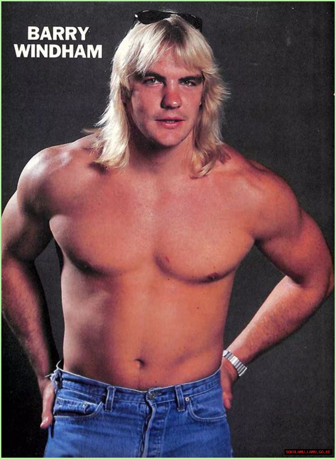 19 Facts About Barry Windham