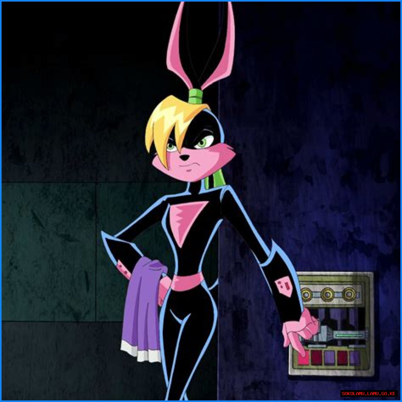 23 Facts About Lexi Bunny (Loonatics Unleashed)