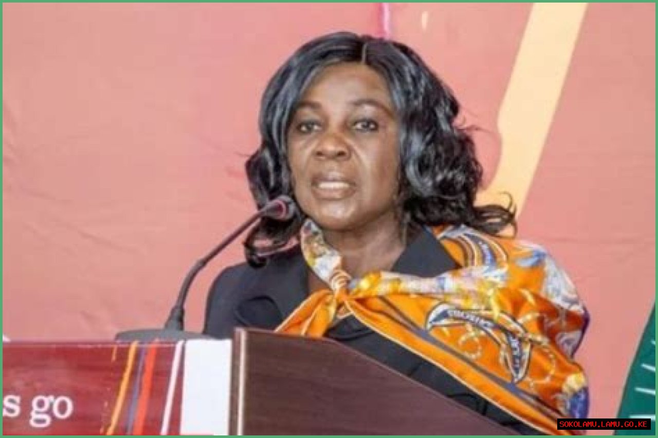 Who Is Cecilia Dapaah Daughter? Husband Daniel Osei-Kufour And Family